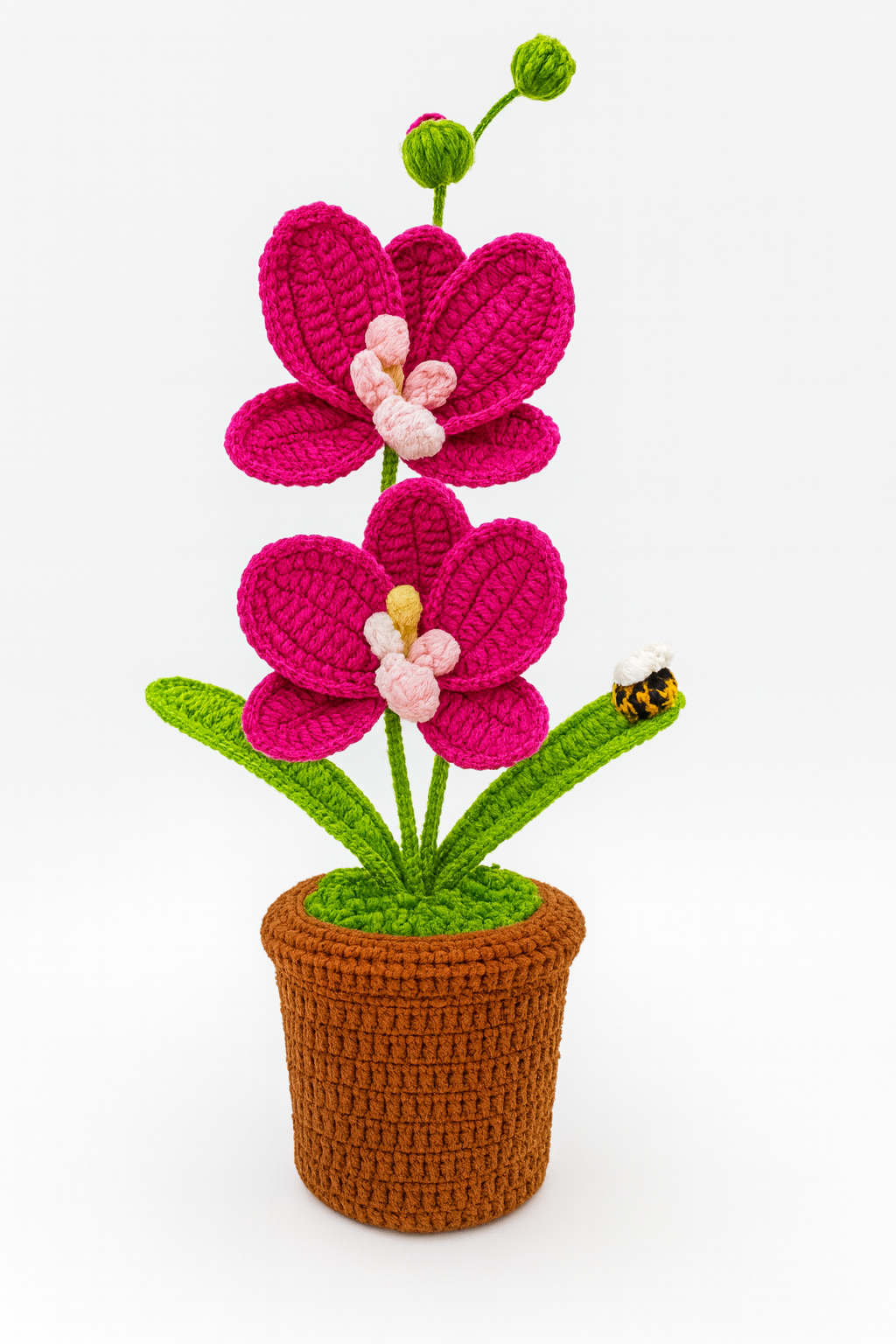 Large Orchid in Flower Pot with Bee