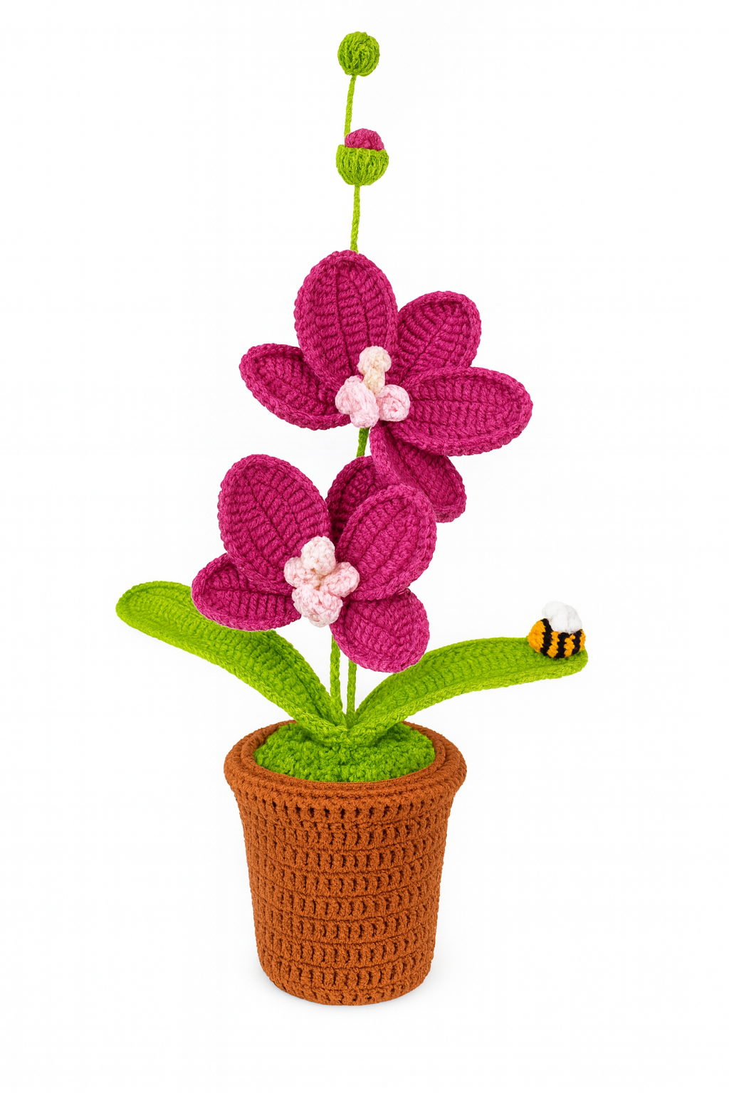 Large Orchid in Flower Pot with Bee
