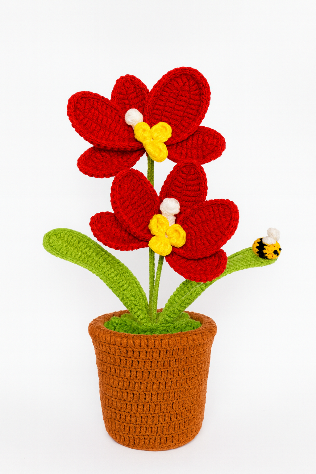 Large Orchid in Flower Pot with Bee