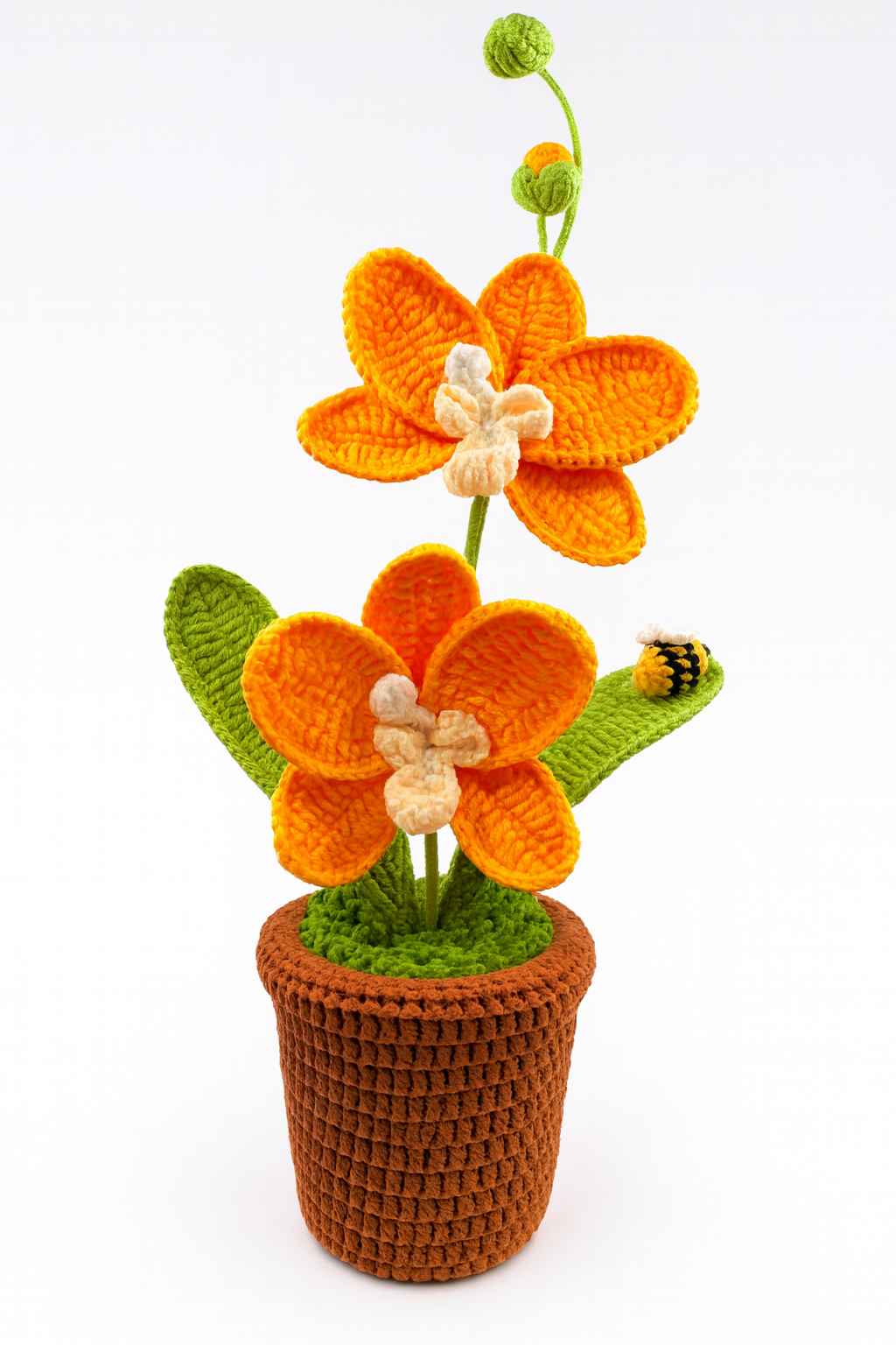 Large Orchid in Flower Pot with Bee