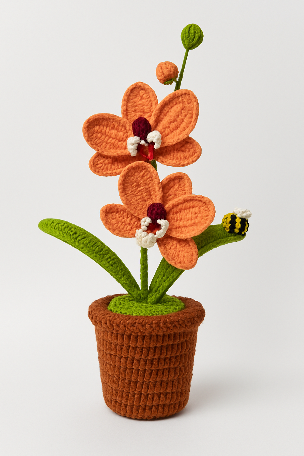 Large Orchid in Flower Pot with Bee