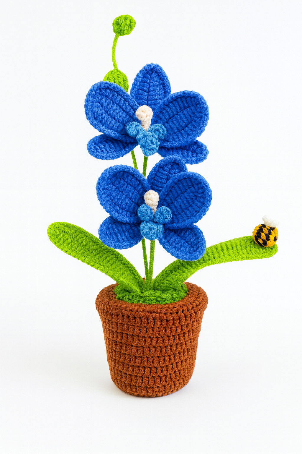 Large Orchid in Flower Pot with Bee