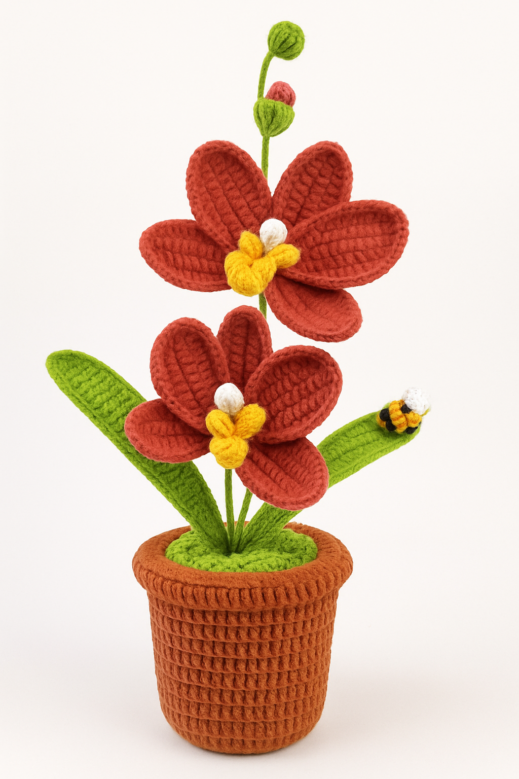 Large Orchid in Flower Pot with Bee
