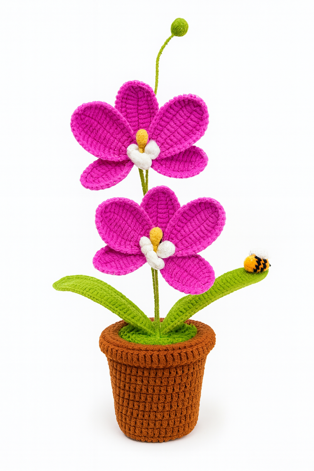 Large Orchid in Flower Pot with Bee
