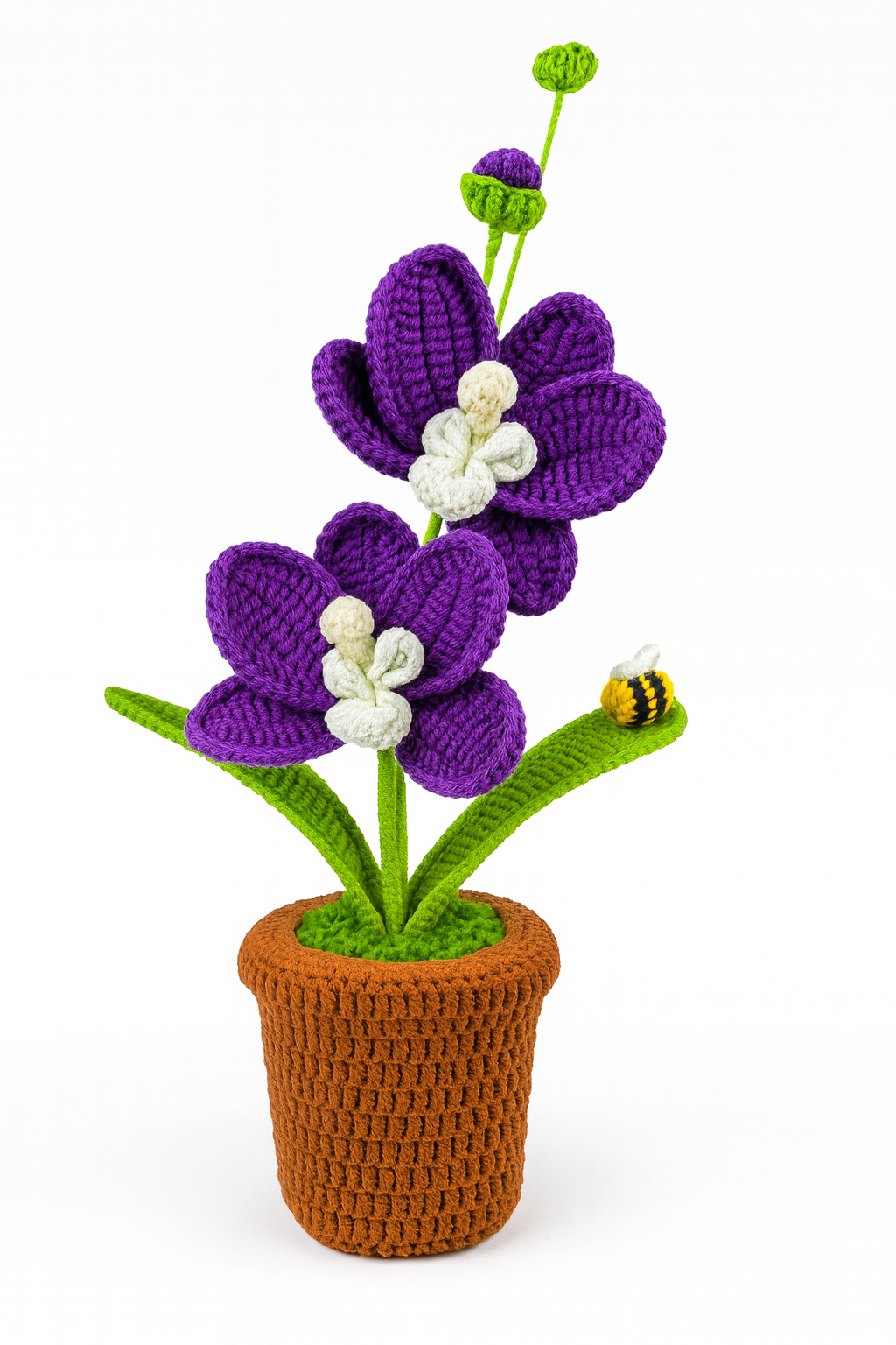 Large Orchid in Flower Pot with Bee