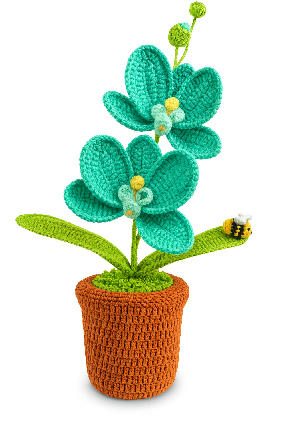 Large Orchid in Flower Pot with Bee