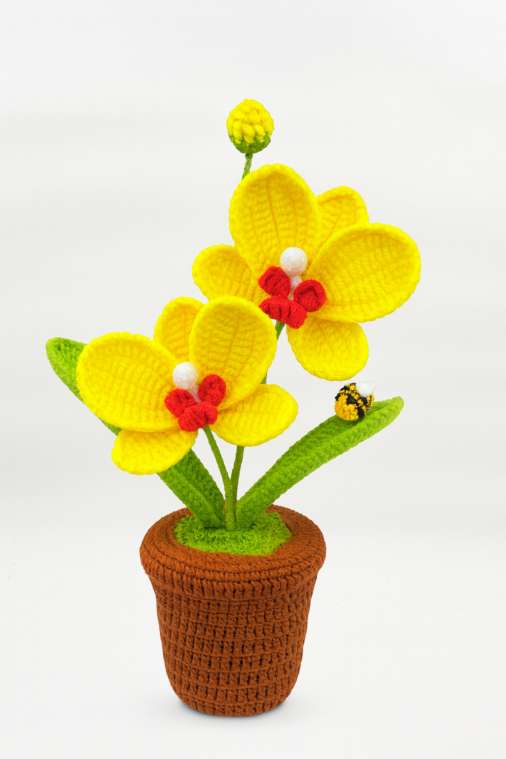 Large Orchid in Flower Pot with Bee