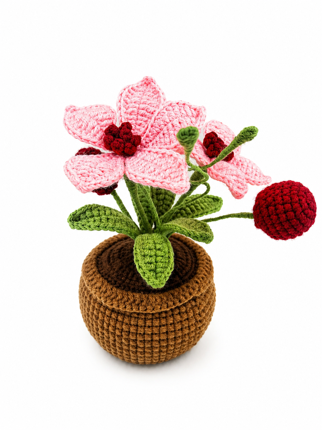 Handmade Crochet Orchid Flower in Pot