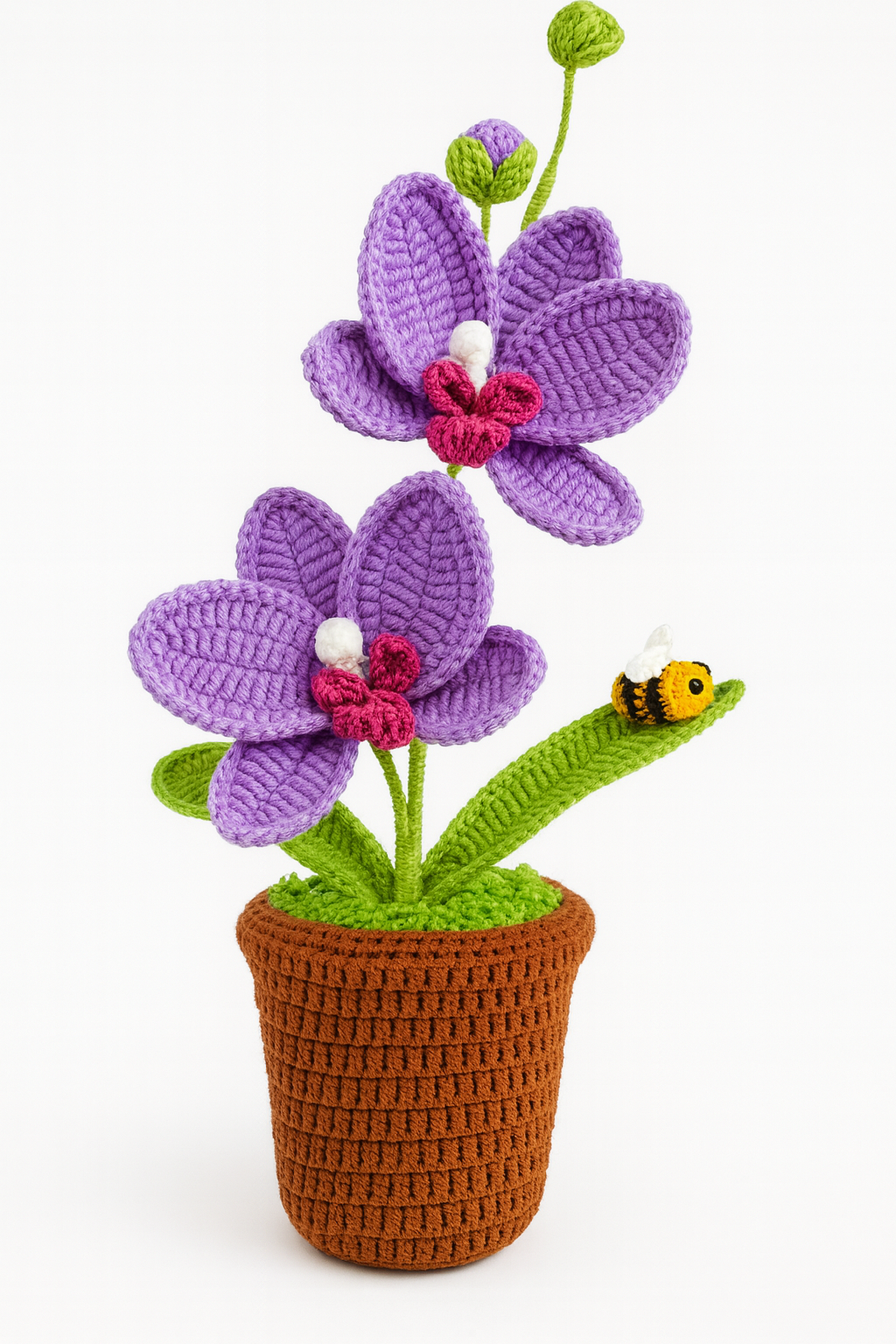 Large Orchid in Flower Pot with Bee