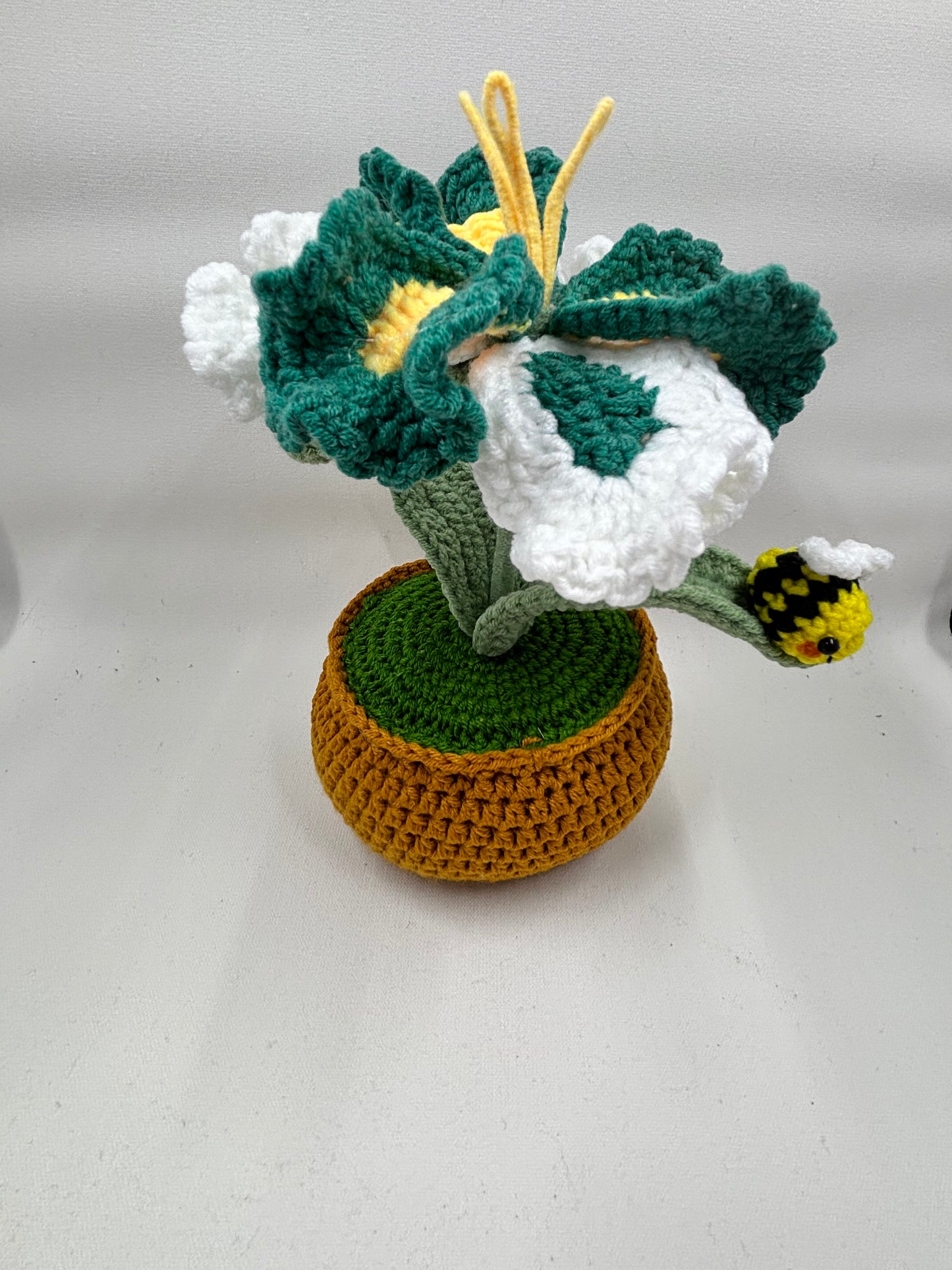 Crochet Hibiscus Flower Pot with Bee