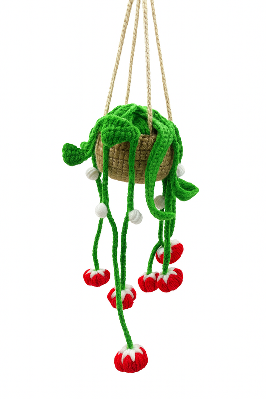Crochet Hanging Red Bloom Plant