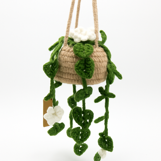 Crochet Hanging Planter